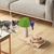 Pawzy Arbre à chat champignon interactif