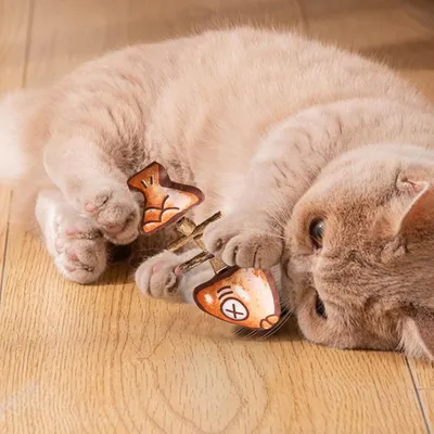 Pawzy Jouet en forme de poisson pour chat