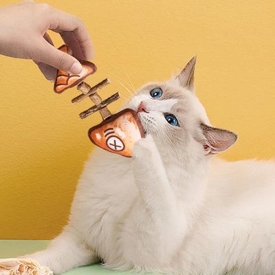 Pawzy Jouet en forme de poisson pour chat
