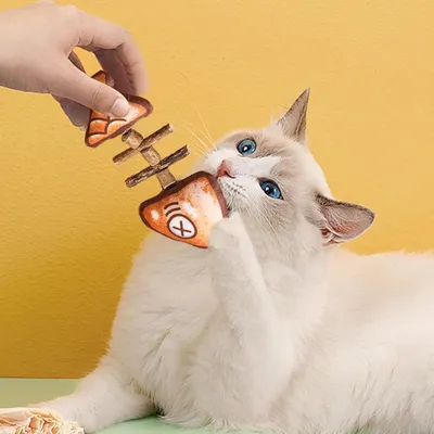 Pawzy Jouet en forme de poisson pour chat