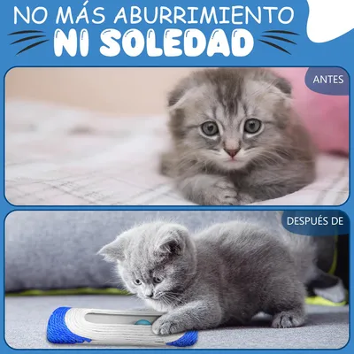 Pawzy Jouet 2-en-1 : Balles & Grattoir - Couleur Aléatoire