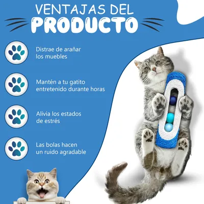 Pawzy Jouet 2-en-1 : Balles & Grattoir - Couleur Aléatoire