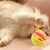 Pawzy Balle à grelot pour chat – 3 couleurs aléatoires