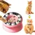 Pawzy Mangeoire lente anti-cale pour chiens et chats