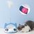 Pawzy Circuit ludique pour chat d'intérieur