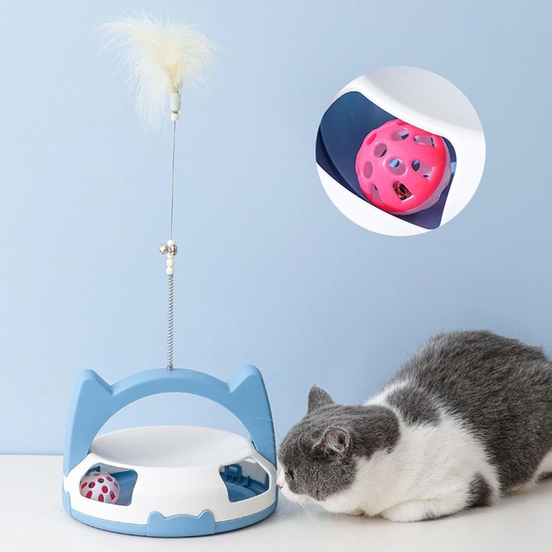 Pawzy Circuit ludique pour chat d'intérieur