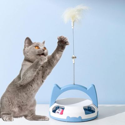 Pawzy Circuit ludique pour chat d'intérieur