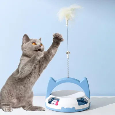 Pawzy Circuit ludique pour chat d'intérieur