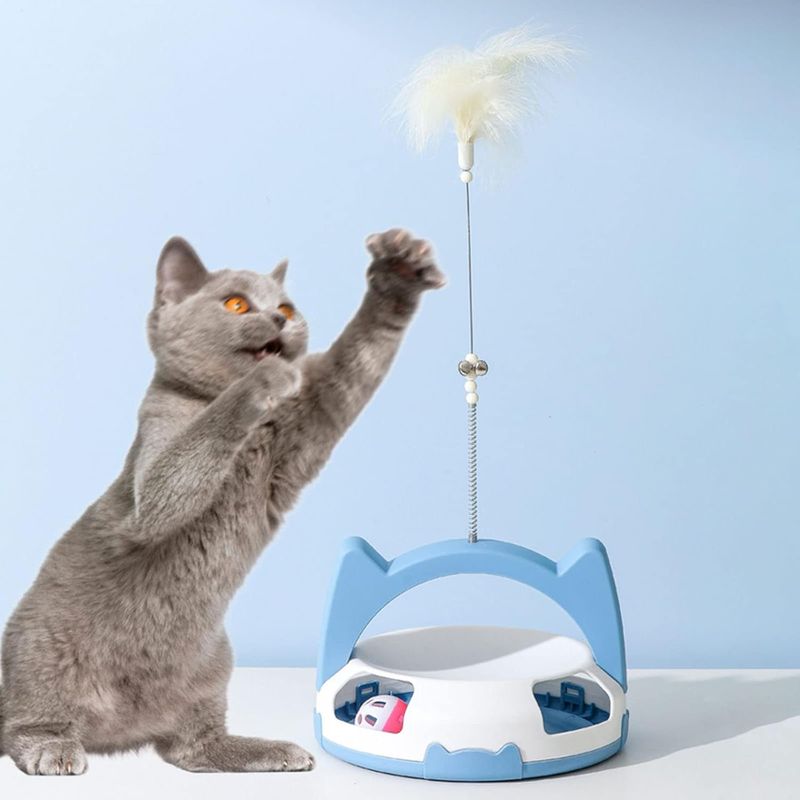 Pawzy Circuit ludique pour chat d'intérieur
