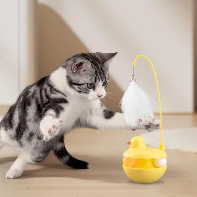 Pawzy Jouet interactif léger pour chat d'intérieur