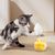 Pawzy Jouet interactif léger pour chat d'intérieur