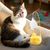 Pawzy Jouet interactif léger pour chat d'intérieur