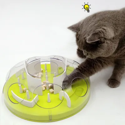 Pawzy Puzzle alimentaire pour chat - Labyrinthe à croquettes