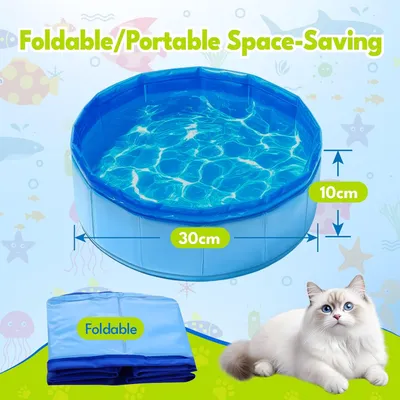 Pawzy Mini piscine pliable pour chat - Bleue