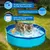 Pawzy Mini piscine pliable pour chat - Bleue