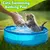 Pawzy Mini piscine pliable pour chat - Bleue