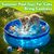 Pawzy Mini piscine pliable pour chat - Bleue