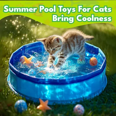 Pawzy Mini piscine pliable pour chat - Bleue
