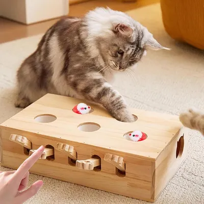 Pawzy Jouet interactif 3 en 1 pour chat en bois