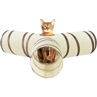 Pawzy Tunnel chat Y : Pliable, interactif, jeu intérieur (Y Way)