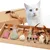 Pawzy Kit 7 jouets interactifs pour chats