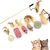 Pawzy Kit 7 jouets interactifs pour chats