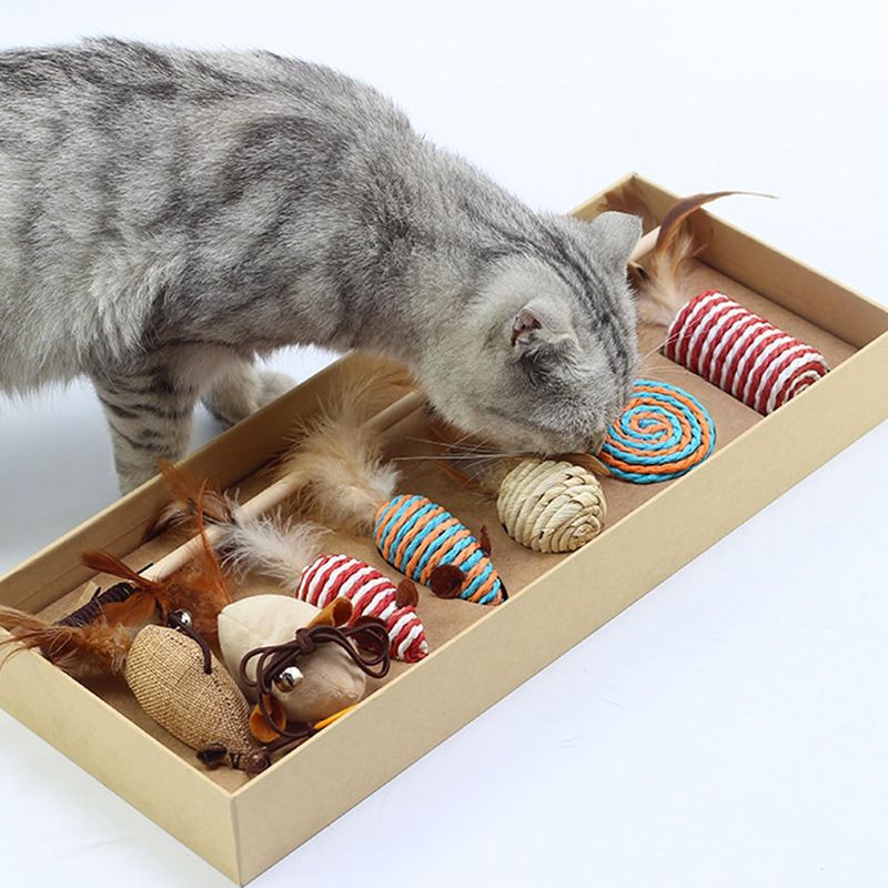 Pawzy Kit 7 jouets interactifs pour chats
