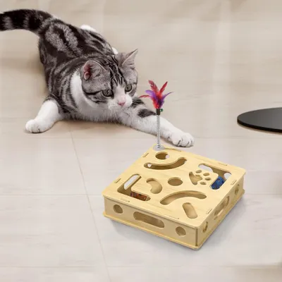 Pawzy Boîte à jeu puzzle pour chat avec balles