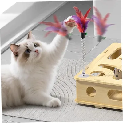 Pawzy Boîte à jeu puzzle pour chat avec balles
