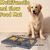 Pawzy Tapis anti-fuite pour chiens- Mangeoire lente à ventouses (gris)