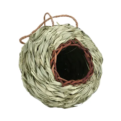 Pawzy Nichoir sphérique suspendu pour oiseaux