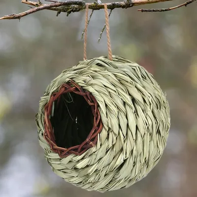 Pawzy Nichoir sphérique suspendu pour oiseaux