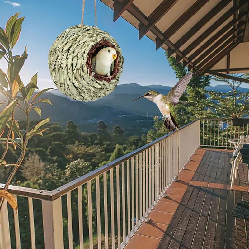 Pawzy Nichoir sphérique suspendu pour oiseaux