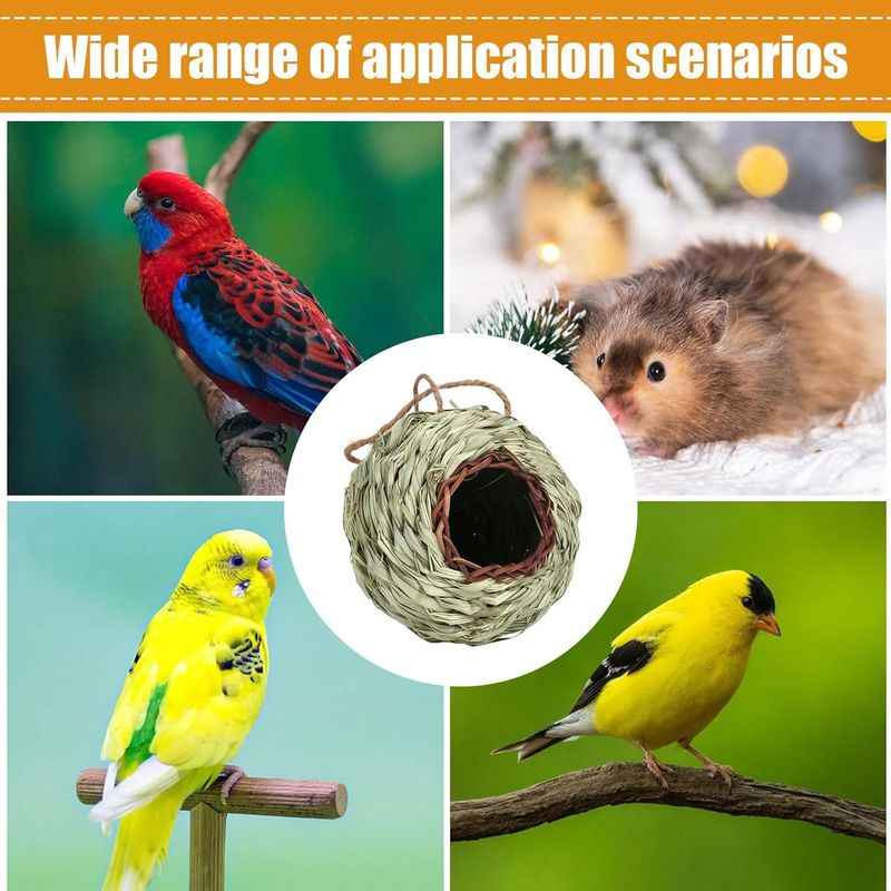 Pawzy Nichoir sphérique suspendu pour oiseaux