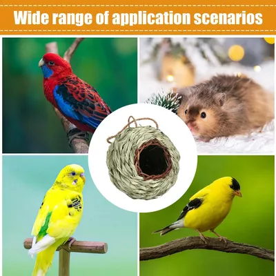 Pawzy Nichoir sphérique suspendu pour oiseaux