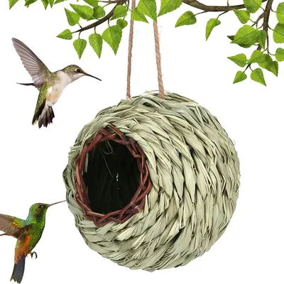 Pawzy Nichoir sphérique suspendu pour oiseaux