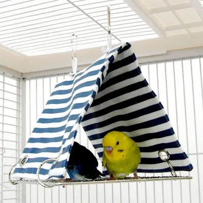 Zoomtopia Volière suspendue et ventilée pour oiseaux