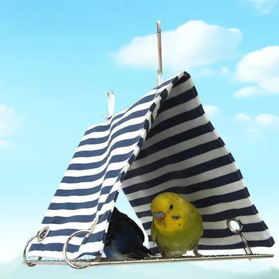 Zoomtopia Volière suspendue et ventilée pour oiseaux