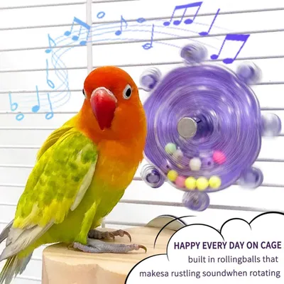 Pawzy Jouet rotatif 360° bleu pour perroquets