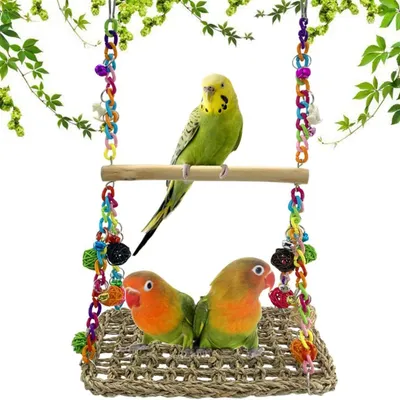 Pawzy Balançoire en jonc de mer pour petits oiseaux Pawzy Balançoire en jonc de mer pour petits oiseaux