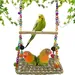 Pawzy Balançoire en jonc de mer pour petits oiseaux
