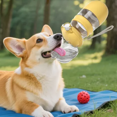 Zoomtopia Gobelet 2 en 1 pour chien