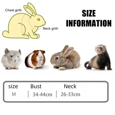 Zoomtopia Harnais respirant pour lapin