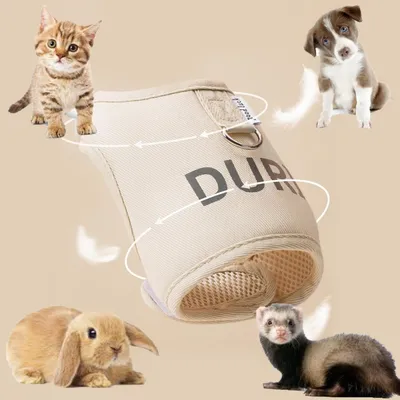 Zoomtopia Ensemble de harnais et de sangle pour lapins