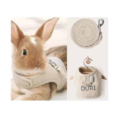 Zoomtopia Ensemble de harnais et de sangle pour lapins