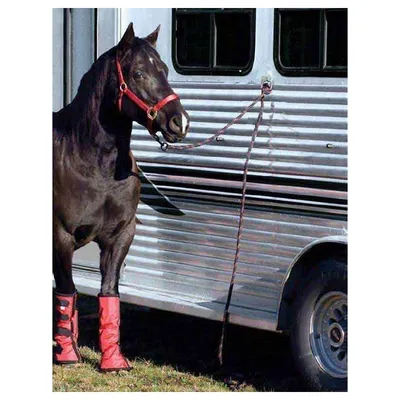 ZooVenture Cross tie ring pour cheval