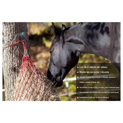 ZooVenture Cross tie ring pour cheval