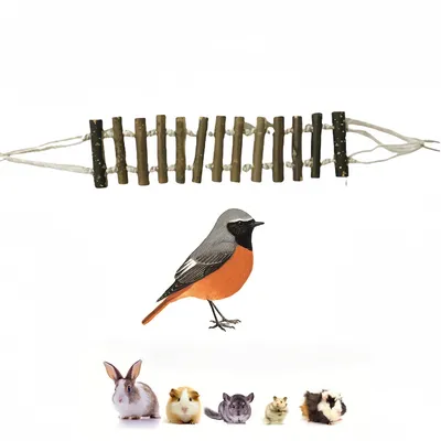 Pawzy Jouet de grimper  brut pour perroquet