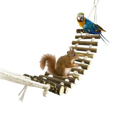 Pawzy Jouet de grimper  brut pour perroquet