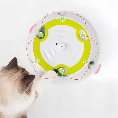 Pawzy Jouet électronique pour chat en forme de jeu de taquinerie